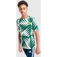Adidas Northern Ireland Pre Match Shirt Junior, groen