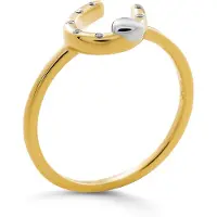 Orphelia 'Aurora' Dames 925 Sterling Zilveren Ring - Zilver/Goud ZR-7525/G