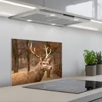 KitchenYeah Spatscherm 60x45 cm - Zelfklevende achterwand Hert - Dier - Bos - Herfst - Hertenkop - Bruin - Natuur - Keuken muurbeschermer - Spatwand fornuis