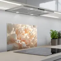 KitchenYeah Spatscherm 60x45 cm - Zelfklevende achterwand Close up - Pioenroos - Lichtroze - Keuken muurbeschermer - Spatwand fornuis
