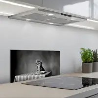 KitchenYeah Spatscherm 70x30 cm - Zelfklevende achterwand Bengaal - Kat - Tafelkleed - Zwart - Wit - Dier - Keuken muurbeschermer - Spatwand fornuis