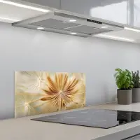 KitchenYeah Spatscherm 70x30 cm - Zelfklevende achterwand Paardenbloem - Beige - Abstract - Modern - Natuur - Keuken muurbeschermer - Spatwand fornuis
