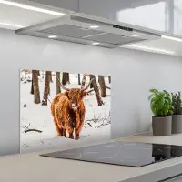 KitchenYeah Spatscherm 60x45 cm - Zelfklevende achterwand Schotse Hooglander - Sneeuw - Winter - Natuur - Dieren - Keuken muurbeschermer - Spatwand fornuis