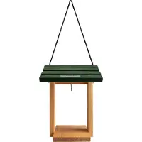 Cj Wildlife Pindacakehuis Cervina |