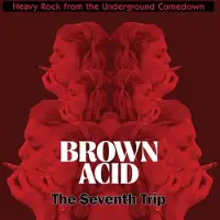 Coast2Coast Various Artists - Brown Acid: The Seventh Trip (LP)