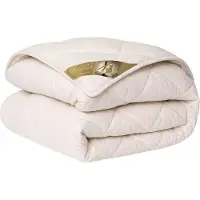 Ten Cate Wollen Dekbed 240 x 220 - 4 Seizoenen - 100% Texelaar wol - Zomer en Winterdekbed - 240x220 (Extra lang)