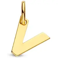 The Jewelry Collection Geelgouden Hanger letter V 4023473