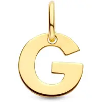 The Jewelry Collection Geelgouden Hanger letter G 4023458