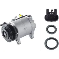 Hella 8FK 366 201-881 Aircopomp