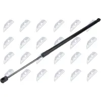 NTY AE-LR-035 Gasveer achterklep