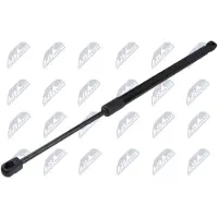NTY AE-CT-063 Gasveer achterklep