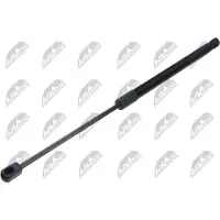 NTY AE-RE-093 Gasveer achterklep