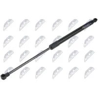 NTY AE-RE-084 Gasveer achterklep