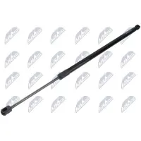 NTY AE-JG-006 Gasveer achterklep
