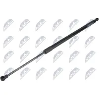 NTY AE-PL-076 Gasveer achterklep