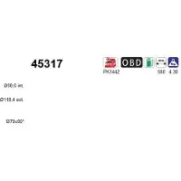 As 45317 Katalysator
