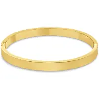 CO88 Collection 8CB-91377 – Armband Dames – Glad Design – Goudkleurig – 6 mm – Cadeau voor Vrouwen