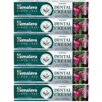 Himalaya herbals Himalaya Ayurvedic Dental Cream with Natural Fluoride - 6 x 100g - Voordeelverpakking - Tandpasta - Ayurvedische Kruidentandpasta met Fluoride voor Gezonde Tanden en Tandvlees