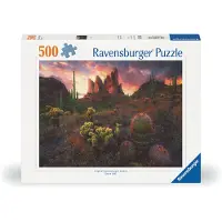 Ravensburger Cactus
