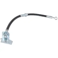 Delphi LH7544 Remslang