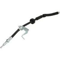 Delphi Remslang LH7758