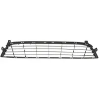 BLIC Ventilatierooster, bumper 6502-07-1311910P