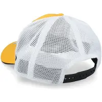 Fanatics Branded NHL Boston Bruins pet