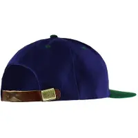 Slazenger platte rand Ajdustable donkerpaars groen herenpet SLAZ CAPS 02