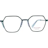 Ana Hickmann Brilframe HI1226T 12A 53