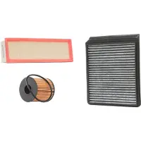 RIDEX 4055F19828 Filterset
