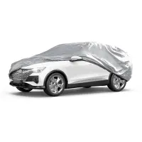 Walser, Robert 41198 Autohoes