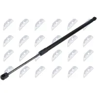 NTY AE-CT-064 Gasveer achterklep