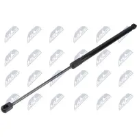 NTY AE-SK-052 Gasveer achterklep