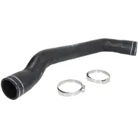FEBI BILSTEIN Radiatorslang 101238