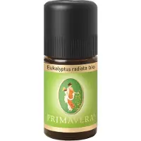 Primavera Etherische oliën Biologische eucalyptus radiata 5 ml