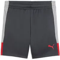Puma Sportbroek 'Individual Liga' lichtgrijs / donkergrijs / rood