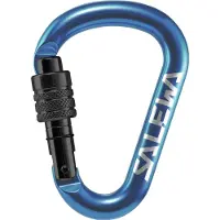 Salewa HMS Screw G2 Karabijnhaak Small, blauw 2023 Karabijnhaken
