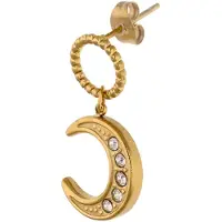 NAEMI Oorbellen goud / transparant