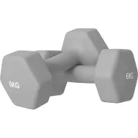 SPORTNOW Rubberen Dumbbell Metaal, Kunststof 22L x 10B x 10H cm Grijs