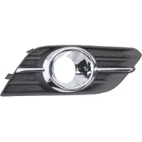BLIC 6502-07-5029916P Ventilatiegrille, bumper