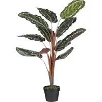 Mica Decorations Calathea roseopicta Kunstplant - 60x60x90 cm - Groen