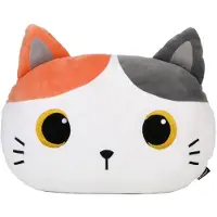 Itotal Home&Gifts Pillow Head 40x30x15cm "ORANGE CAT" Medium Flat de kat oramje - kinderkussen - kussen Kinderkamer - Fun kussens - Sierkussen- zacht kinderkussen - pluche