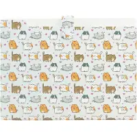 Biurfol A4 PP accordeon map met 5 vakken en kattenprint