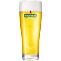 Heineken Ellipse Bierglazen – Set van 6 | 25 cl | Officieel Design