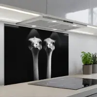 KitchenYeah Spatscherm 90x60 cm - Zelfklevende achterwand Struisvogels - Halzen - Zwart - Minimalistisch - Keuken muurbeschermer - Spatwand fornuis