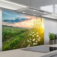 KitchenYeah Spatscherm 120x80 cm - Zelfklevende achterwand Bloemen - Madelief - Natuur - Zon - Horizon - Keuken muurbeschermer - Spatwand fornuis