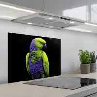 KitchenYeah Spatscherm 70x55 cm - Zelfklevende achterwand Papegaai - Veren - Opvallend - Groen - Keuken muurbeschermer - Spatwand fornuis