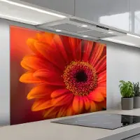 KitchenYeah Spatscherm 100x75 cm - Zelfklevende achterwand Oranje - Gerbera - Intens - Keuken muurbeschermer - Spatwand fornuis