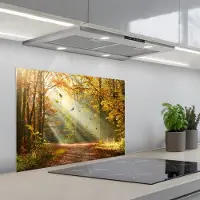 KitchenYeah Spatscherm 70x55 cm - Zelfklevende achterwand Bos - Bomen - Herfst - Zon - Herfstbladeren - Natuur - Keuken muurbeschermer - Spatwand fornuis