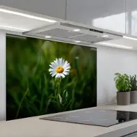 KitchenYeah Spatscherm 80x55 cm - Zelfklevende achterwand Wit - Madeliefje - Bloem - Gras - Keuken muurbeschermer - Spatwand fornuis